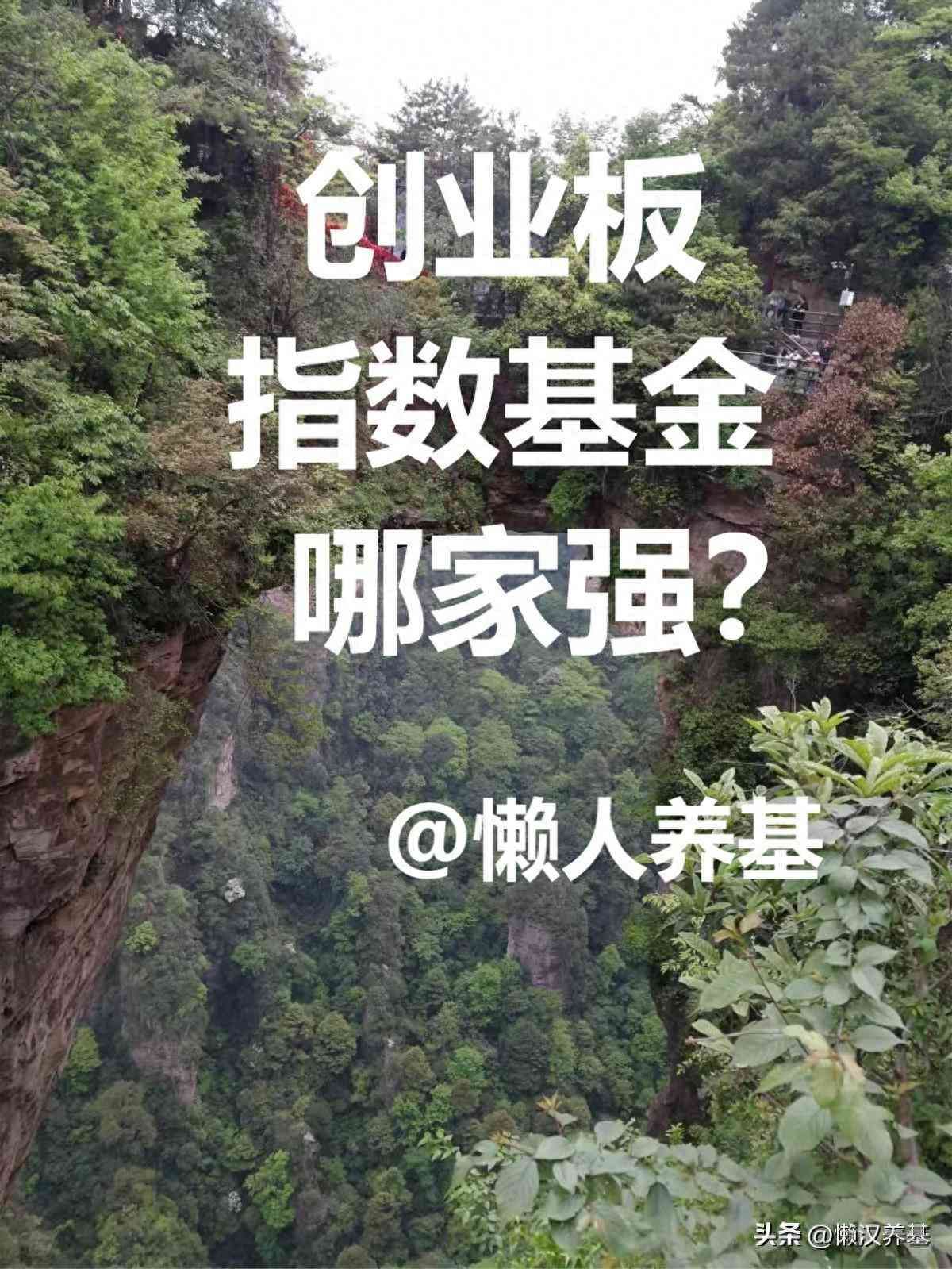 创业板指数基金排名前十名代码（创业板指数基金哪家强？）(图1)