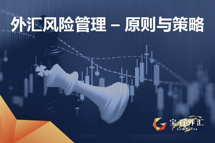 外汇平台风险管理策略（GemForex：外汇风险管理有哪些管理原则与管理策略？）(图1)