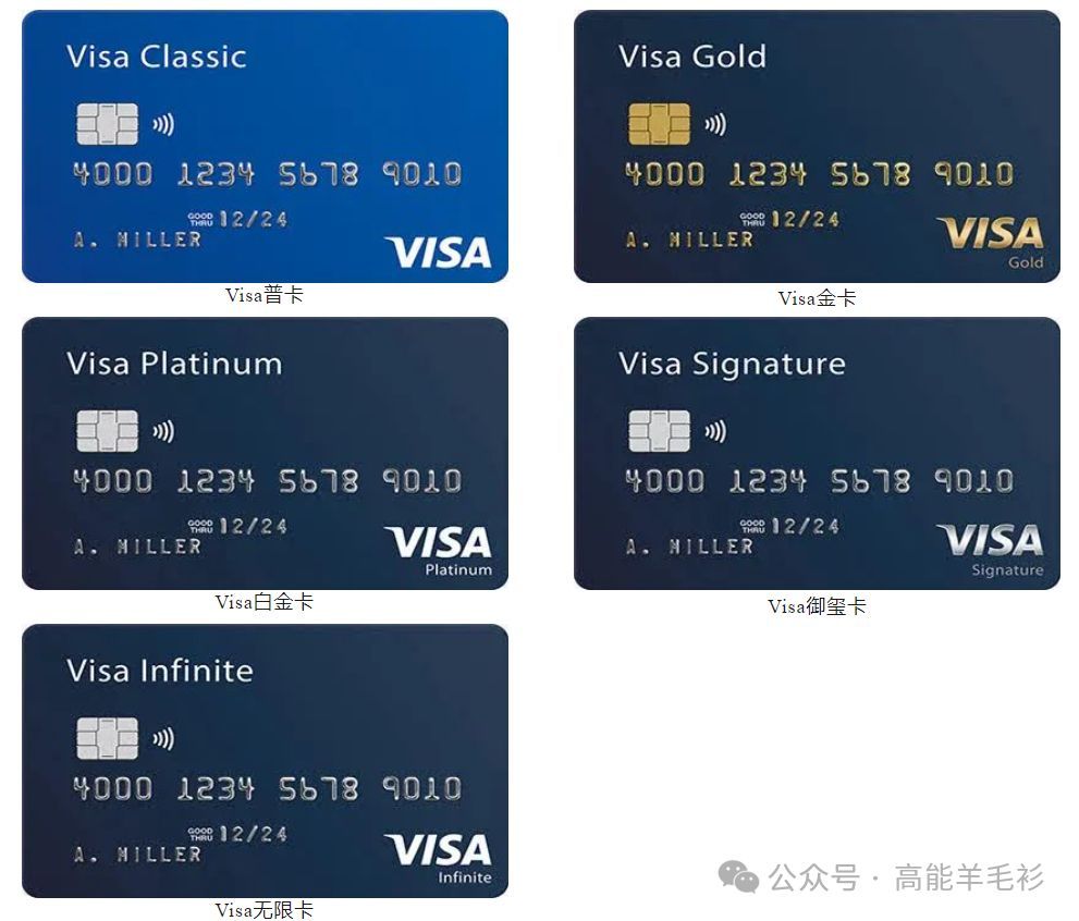 visa卡额度是一年还是一个月（维萨VISA | 简介）(图2)