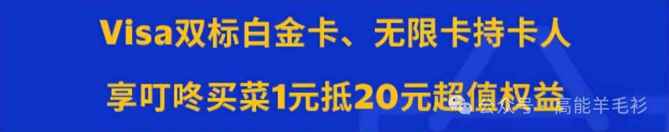 visa卡额度是一年还是一个月（维萨VISA | 简介）(图13)