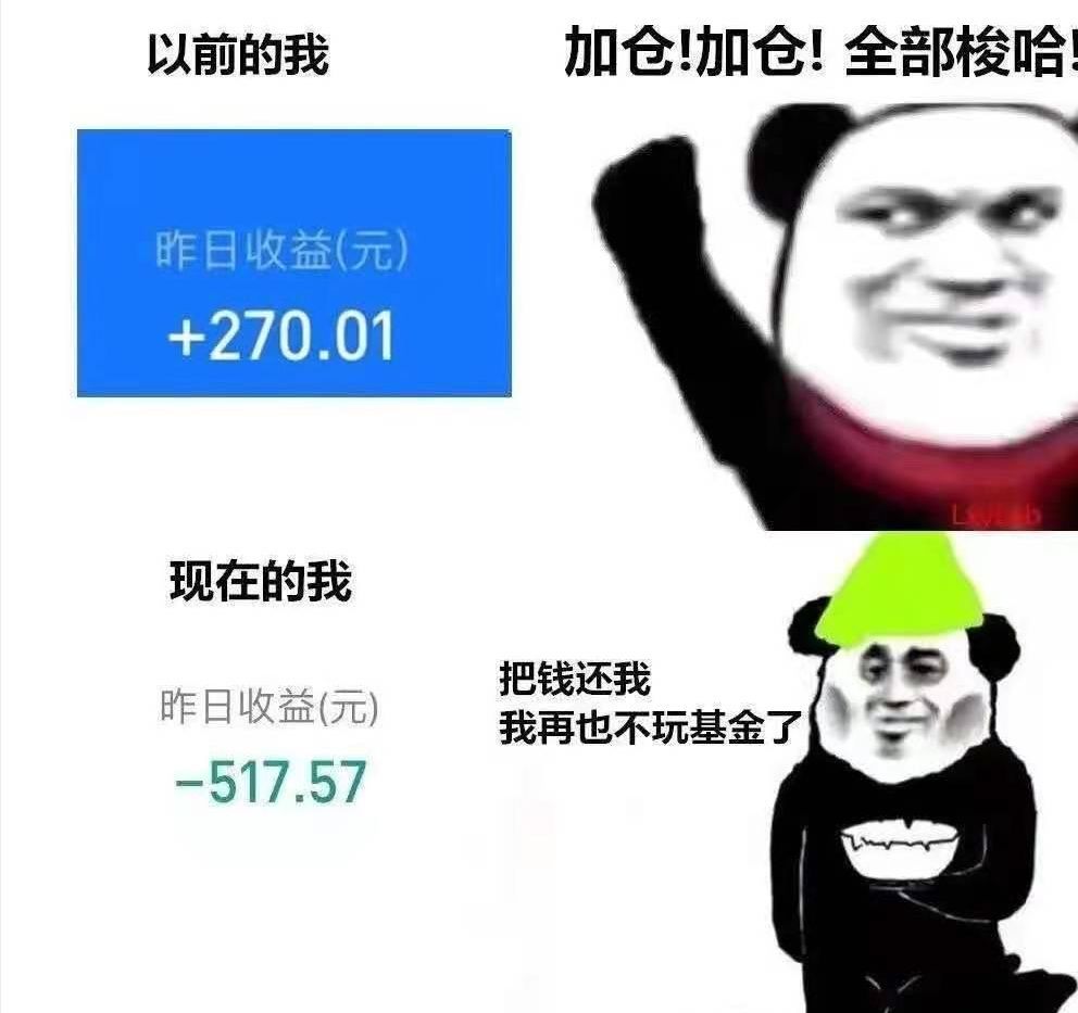 基金绿了什么意思（今天，你的基金又双叒叕变绿了吗？｜视野）(图4)