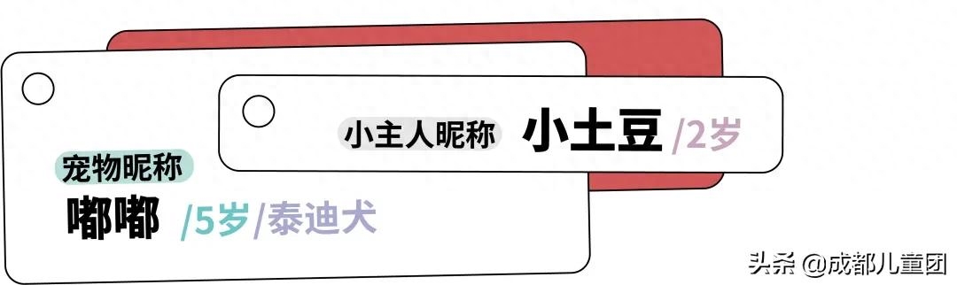 宠物狗适合和小孩一起玩吗（千万不要让孩子和宠物呆在一起，不然你会发现好处也太多了吧）(图9)