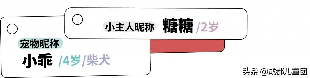 宠物狗适合和小孩一起玩吗（千万不要让孩子和宠物呆在一起，不然你会发现好处也太多了吧）(图13)