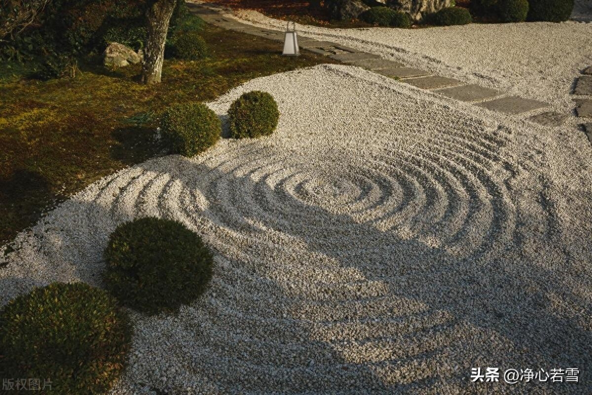 弘一法师一生简介（弘一法师：半世风流半世僧，从风流浪子到佛门一代宗师的故事）(图9)