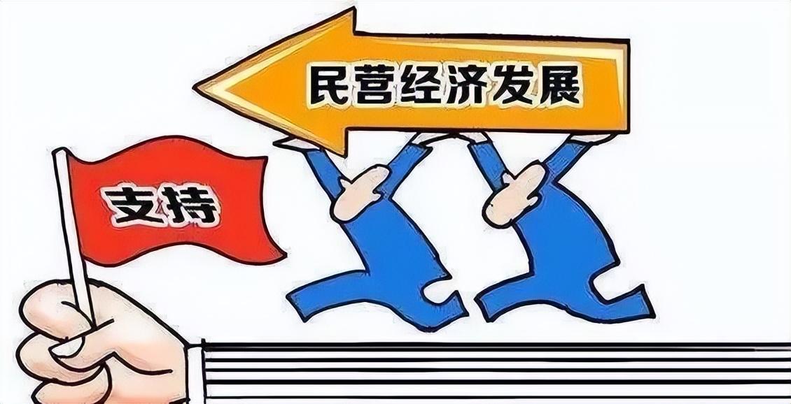 人民日报评司马南（振兴民营经济的舆论环境思考，封杀司马南真的有用吗？）(图3)