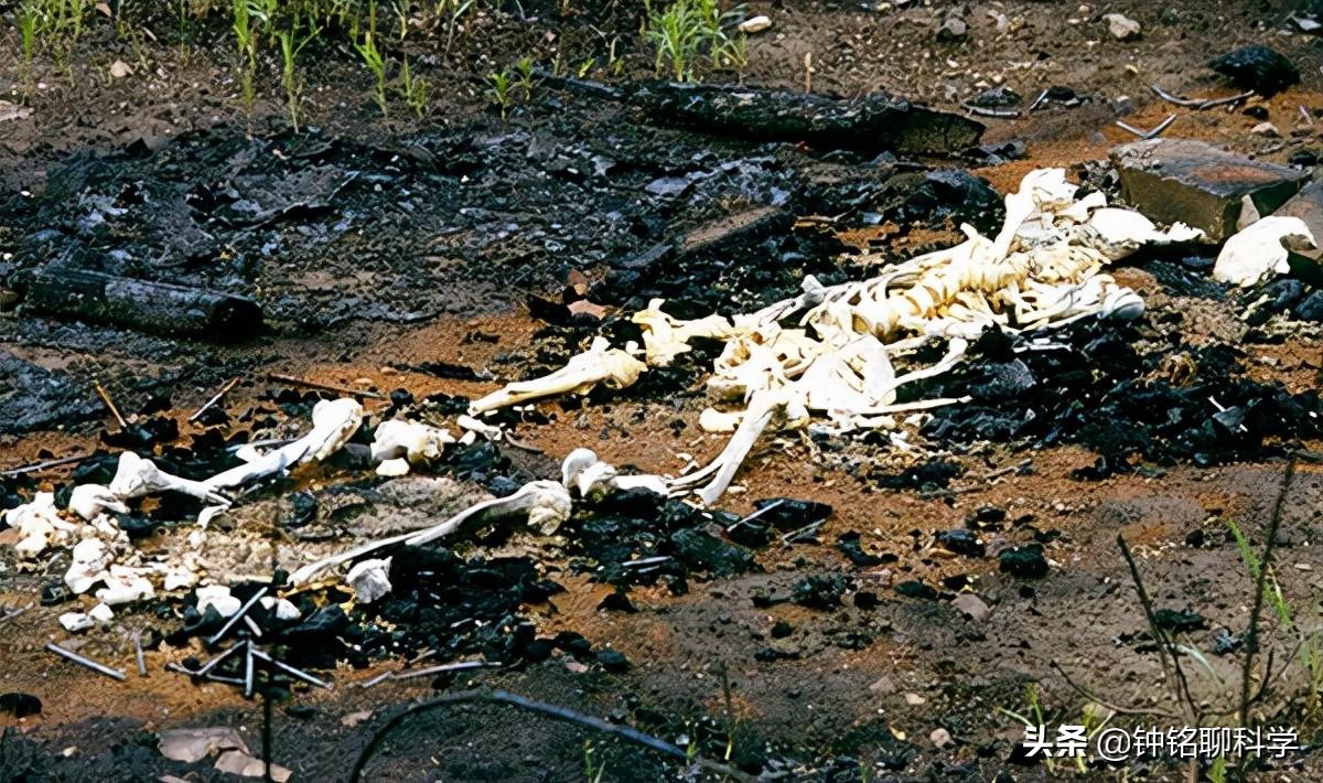 昆仑山死亡谷有多恐怖（昆仑山地狱之门有多恐怖？牧民为寻找马群入谷，马回来了，人没了）(图6)