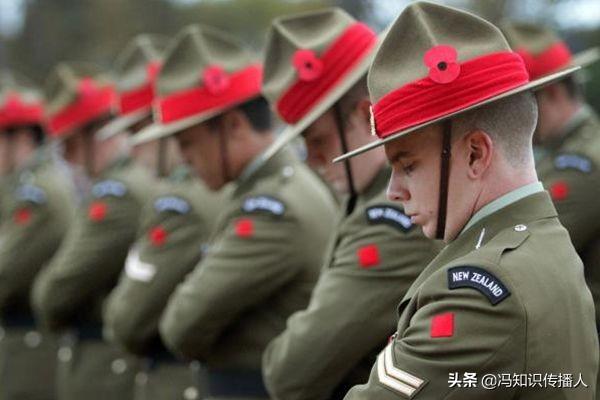 诺曼底登陆是哪国打哪国（二战最大的登陆行动是诺曼底登陆，那一战最大的登陆行动是什么？）(图5)