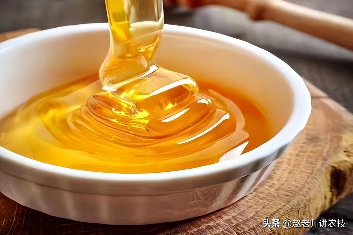 蜂蜜怎么保存最好（你保存蜂蜜的方法真的对吗？怎么保存才最好？建议看完，避免浪费）(图4)