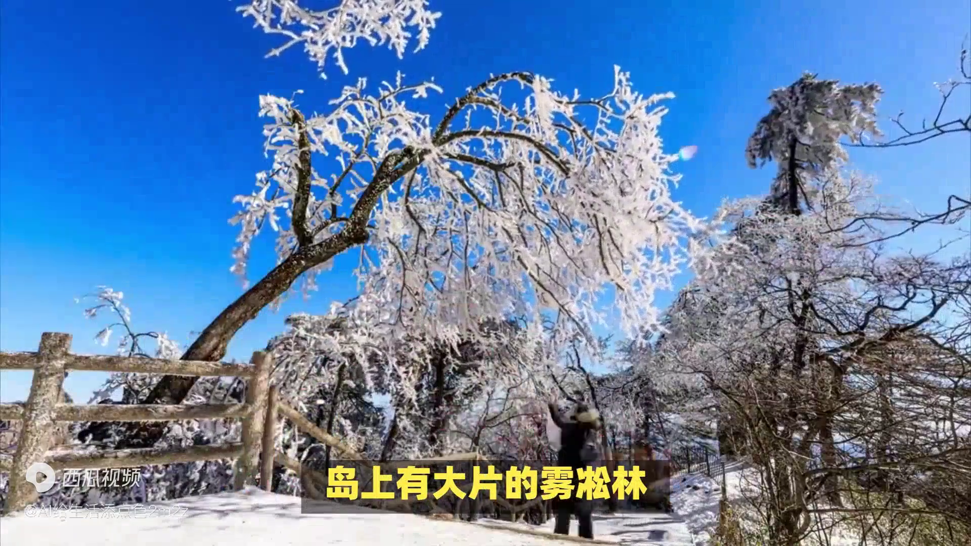 元旦去哪玩比较好（2023元旦最佳旅游目的地揭晓！这些地方你绝对不能错过！）(图3)