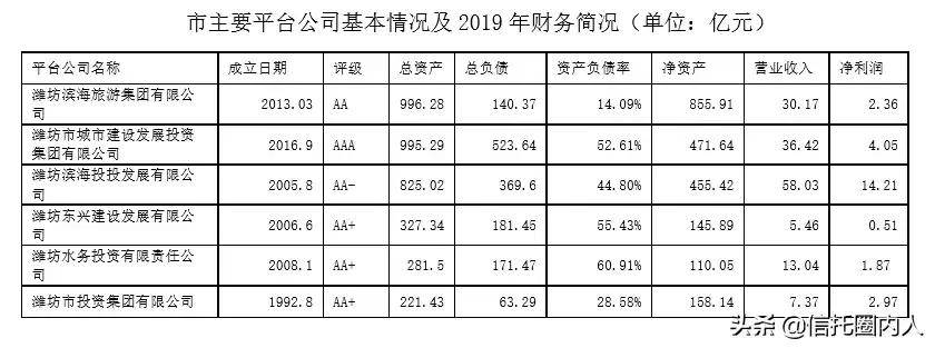 刚性负债合计是什么意思（你还分不清显性债务和隐性债务？）(图2)