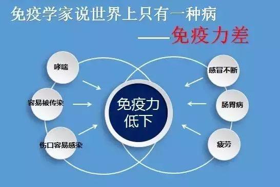 复合小分子黄金肽有什么作用（肽知识丨小分子肽对青年人的作用）(图5)