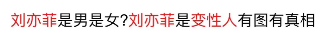 刘亦菲国籍（刘亦菲身为美籍华人，却获中国外交部力挺：她是真正的中华儿女！）(图22)