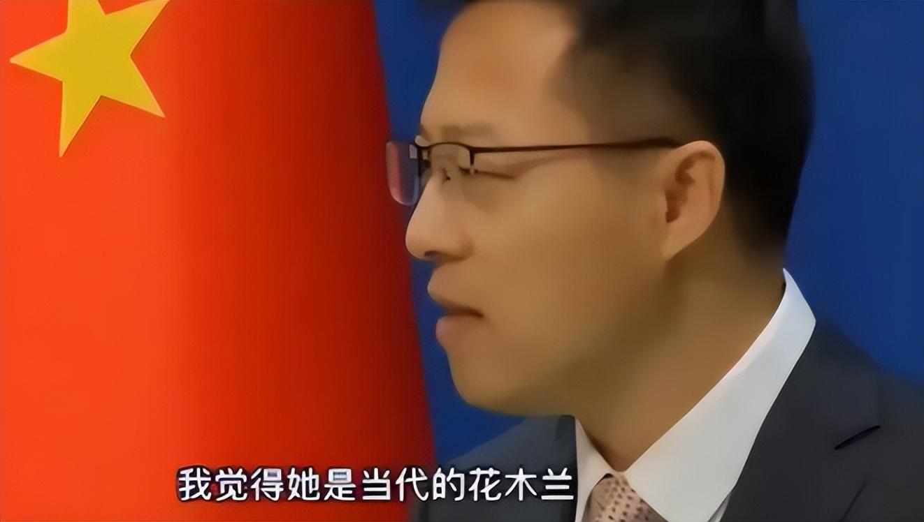 刘亦菲国籍（刘亦菲身为美籍华人，却获中国外交部力挺：她是真正的中华儿女！）(图45)