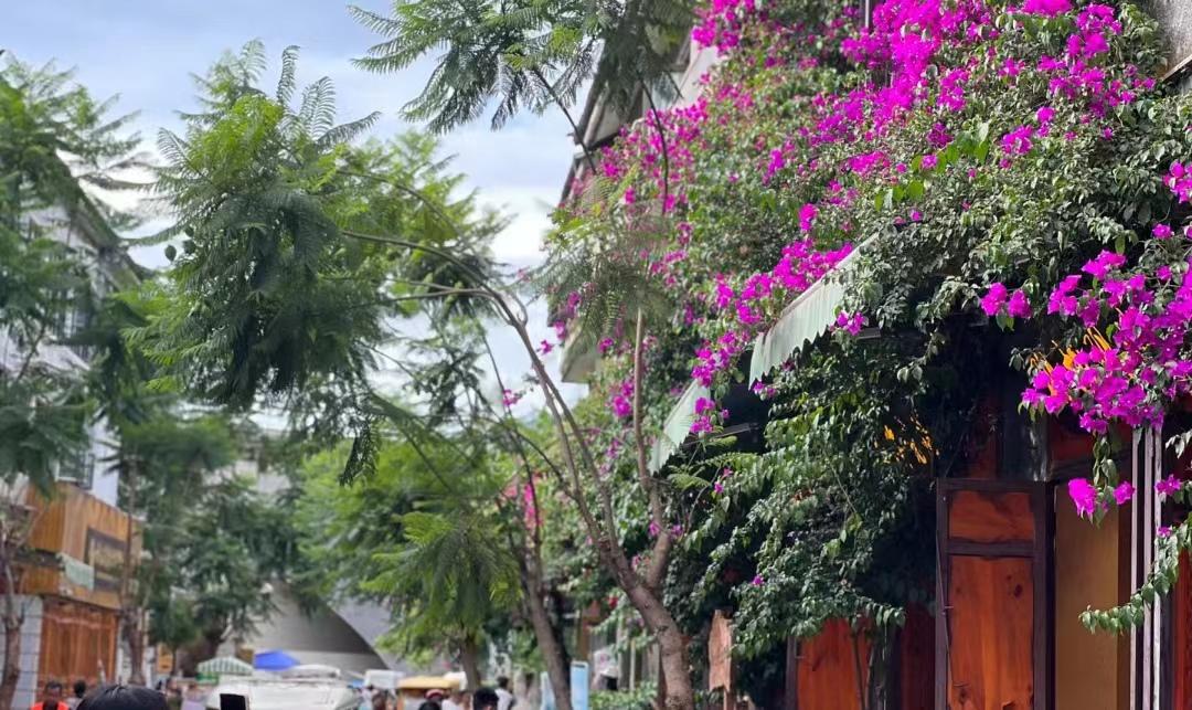 大理古城游玩攻略必去（去大理旅游怎么玩，交通住宿景点全包含，看这篇攻略就够了）(图6)