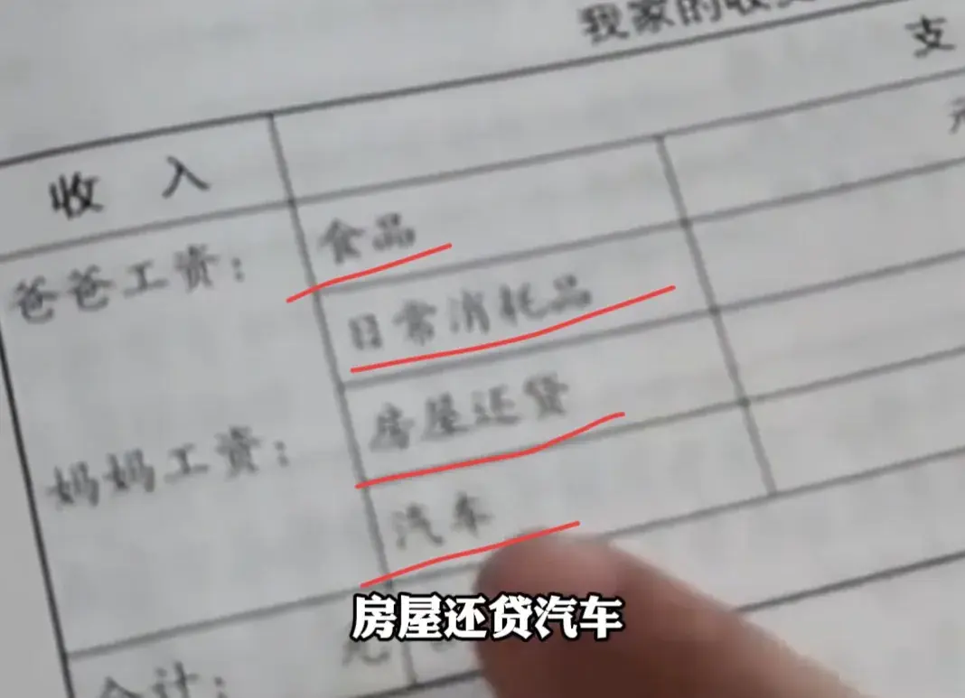 小学生寒假作业要求填写家庭收支 （孩子作业内容：调查家庭收入、房屋还贷、汽车支出等，让人不解）(图4)