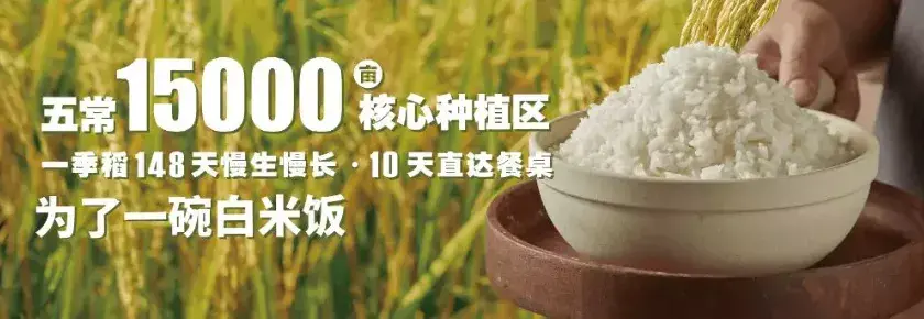 谷田稻香加盟还是直营（把一碗米饭作为招牌，发展全国直营门店300余家，它如何做到的？）(图6)