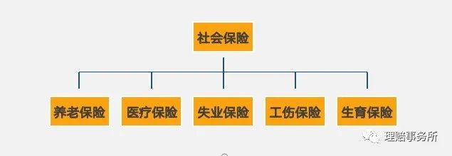 社保是从哪一年开始实施的（社保养老金的前世今生）(图1)